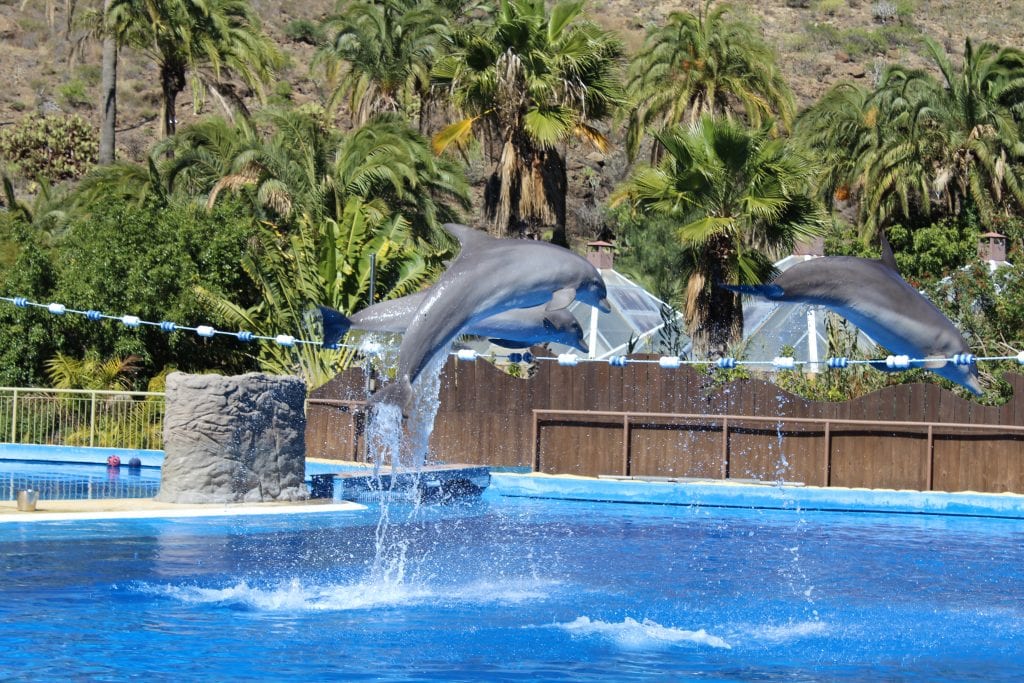 Top 12 things to do with kids in Gran Canaria
