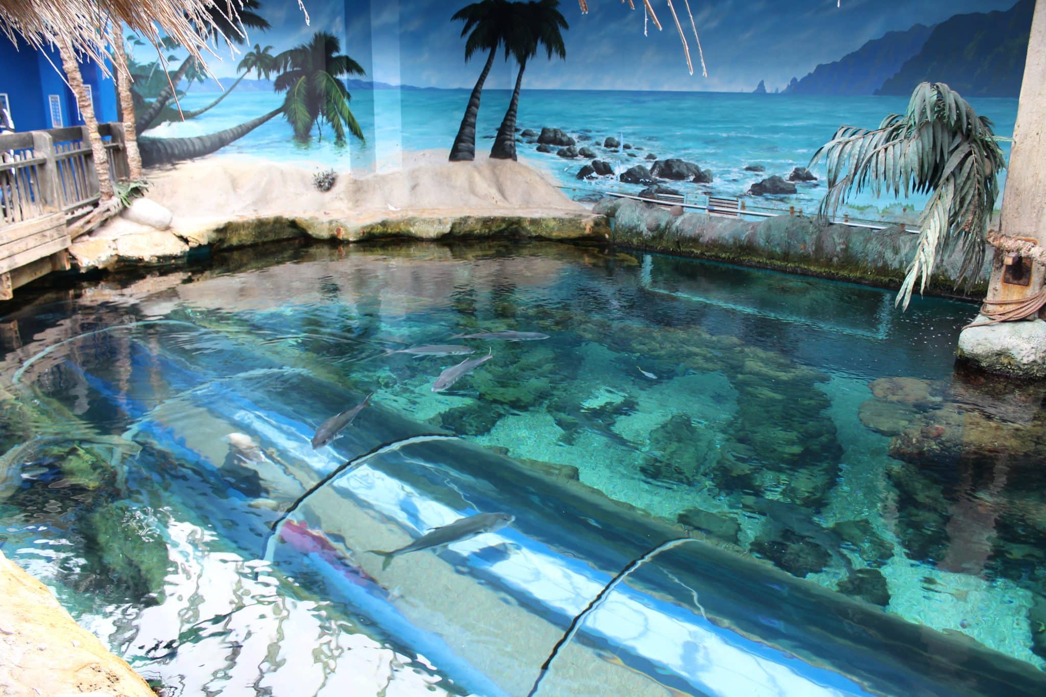 Oceanarium