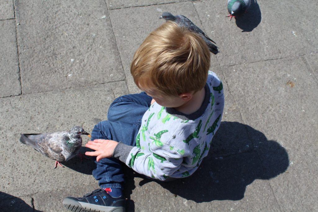 Feeding Pigeons Piazzo San Marco