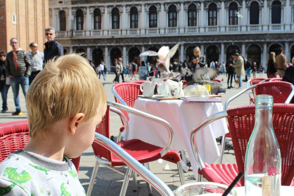 Pigeons Robbing Food Piazzo San Marco