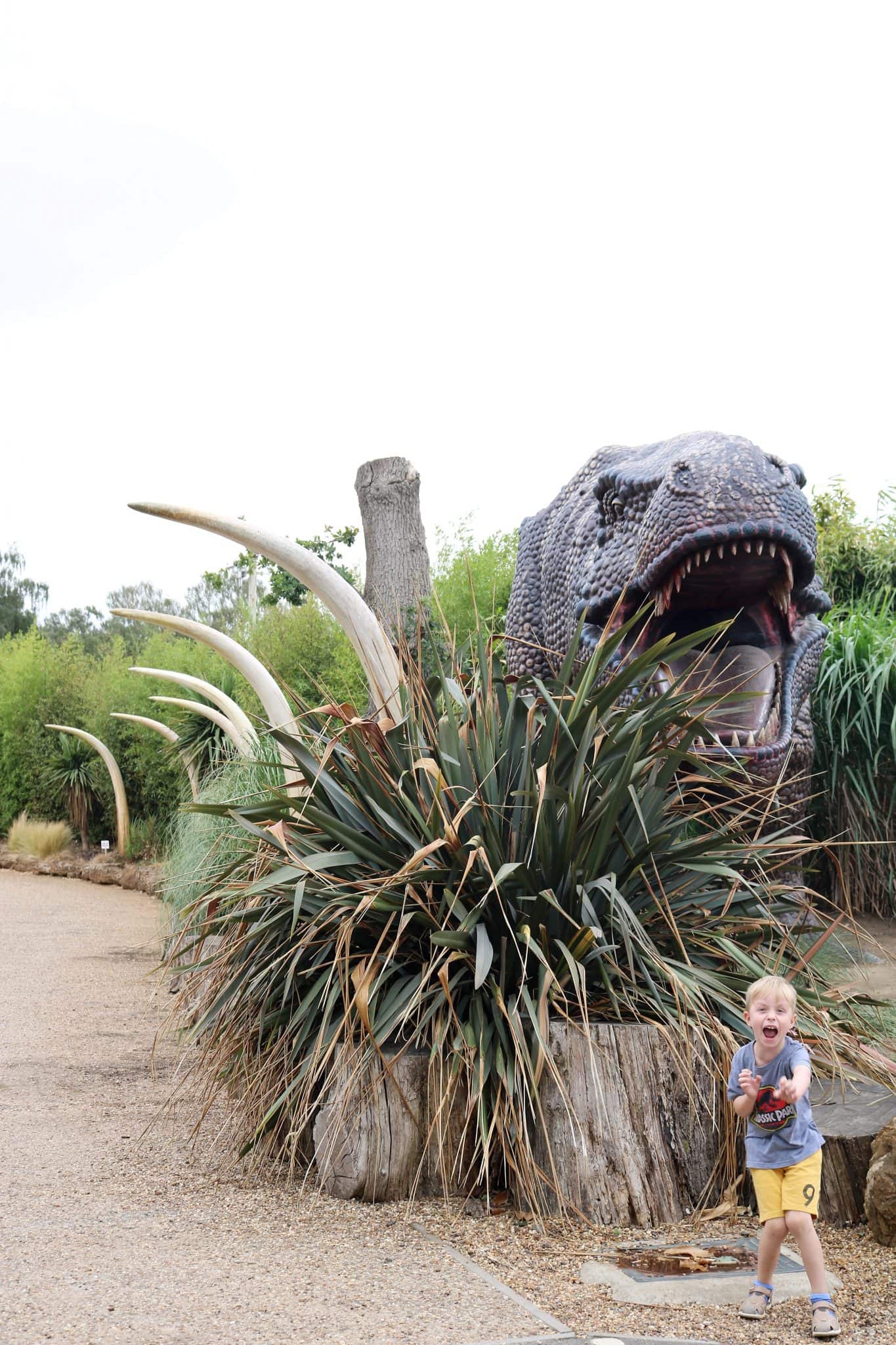 Roarr Dinosaur Adventure Dinosaur Theme Park Norfolk Review