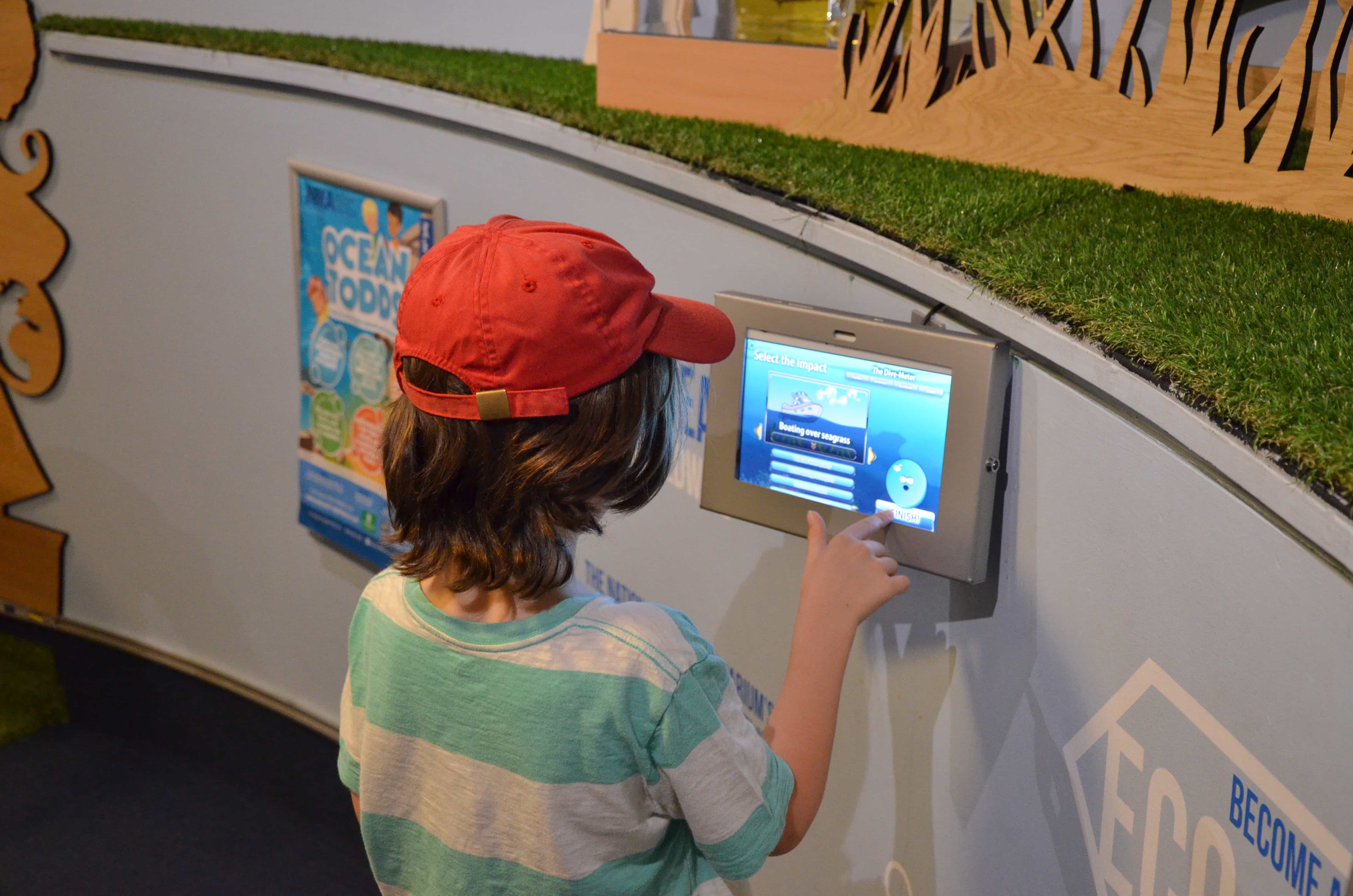 Interactive Displays