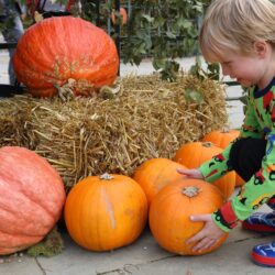 Best Halloween Events East Midlands 2025 | Things to do