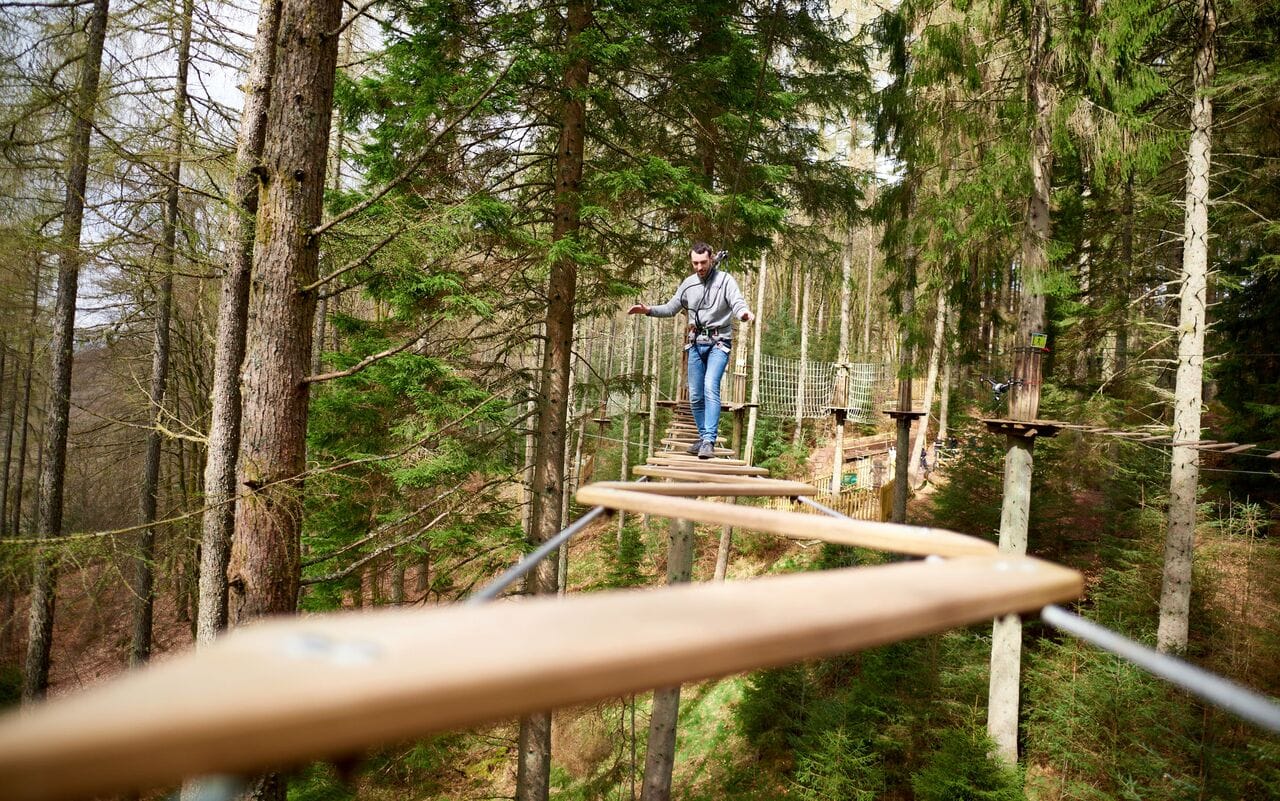 Go Ape Tree Top Adventure | Locations & Discount