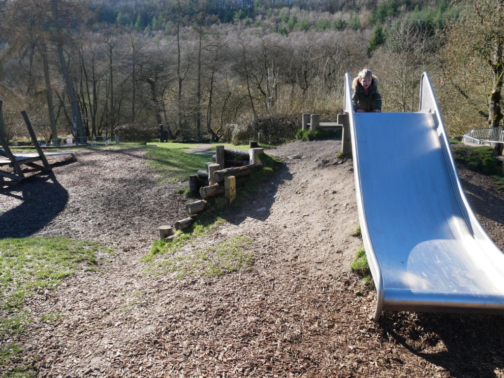 Zog Activity Trail at Dalby Forest | Review North Yorkshire