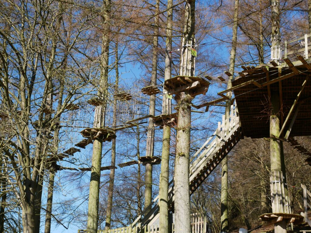 Go Ape Dalby Forest - Tree Top Junior course