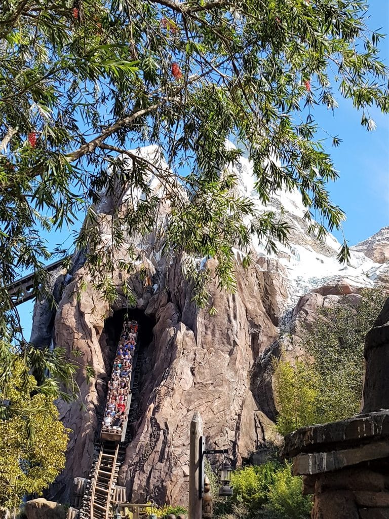 The Best Ride at Disney World - Expedition Everest