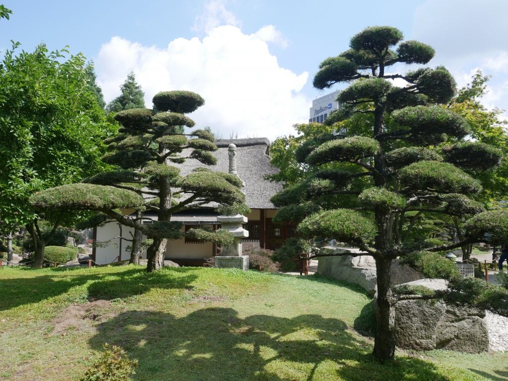 The beautiful Japanese garden