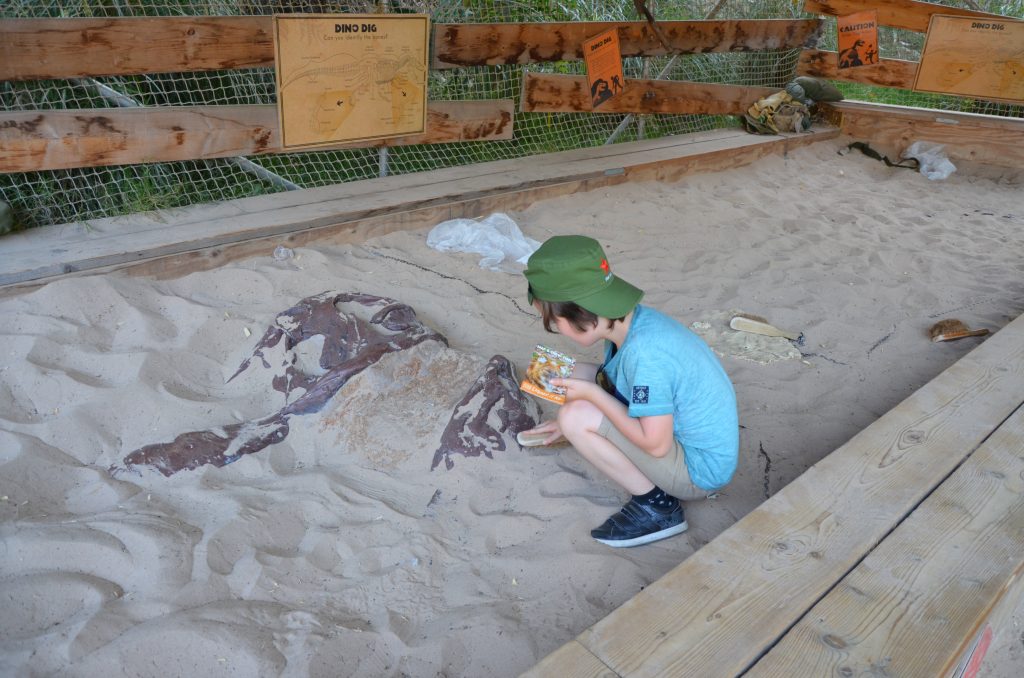 Dino Dig in Land of the Living Dinosaurs