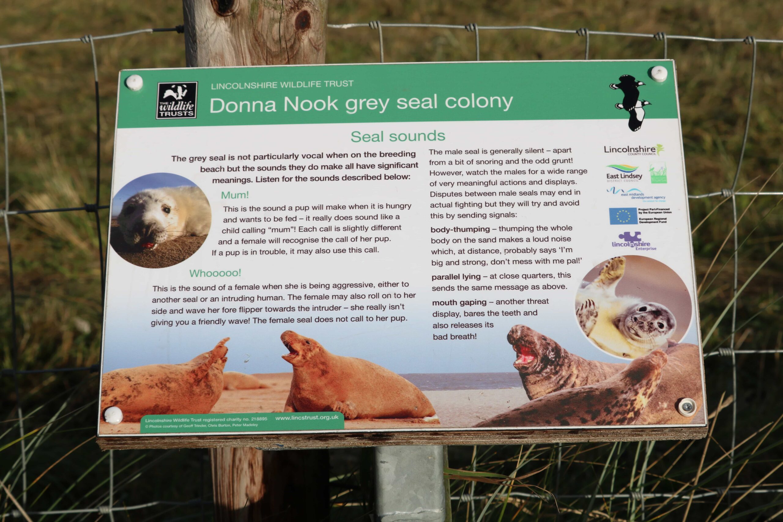 Donna Nook Nature Reserve