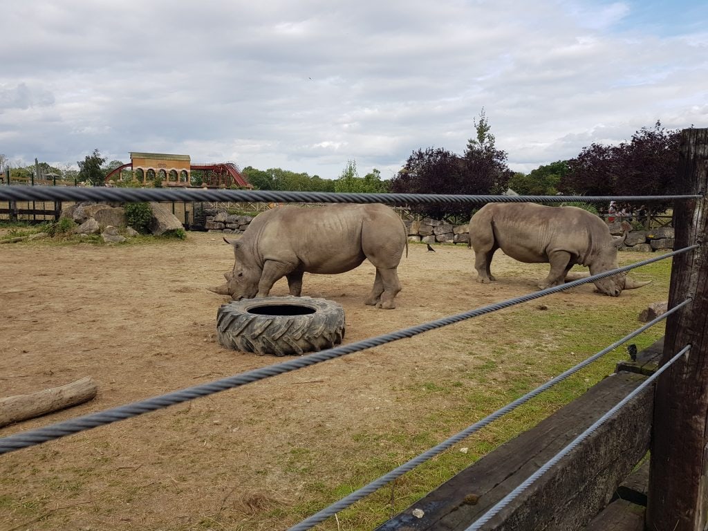 Flamingo Land