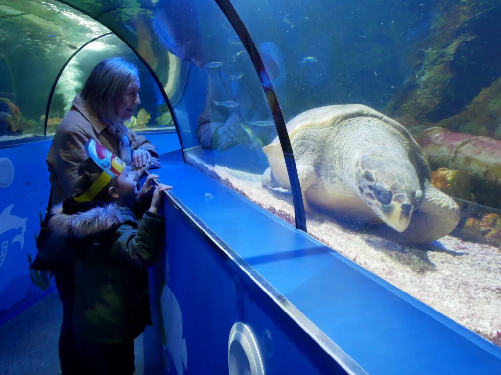 SEA LIFE Scarborough