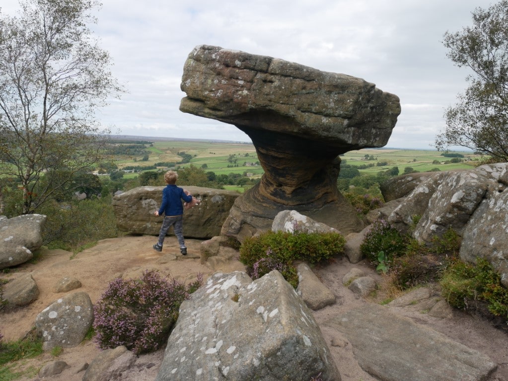 Brimham Rocks National Trust