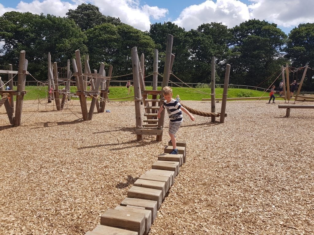 18 Best Days Out For Toddlers In Yorkshire