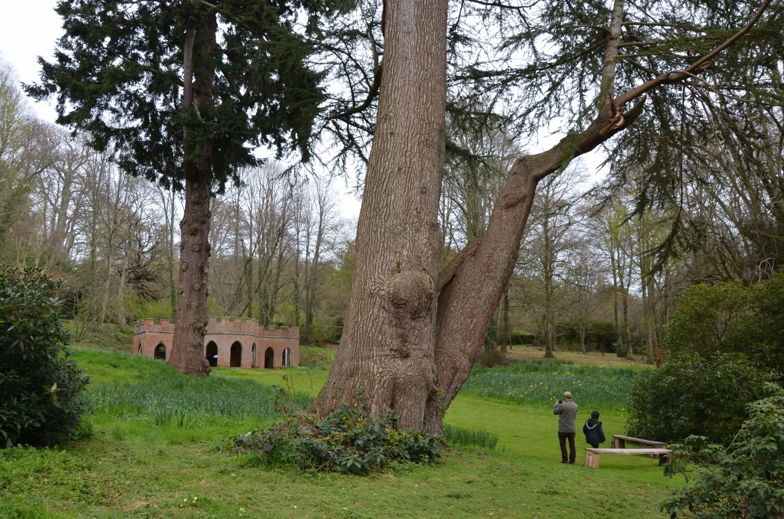 Powderham Castle