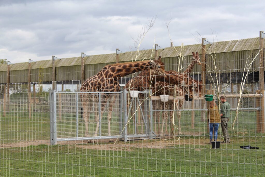 Yorkshire Wildlife Park
