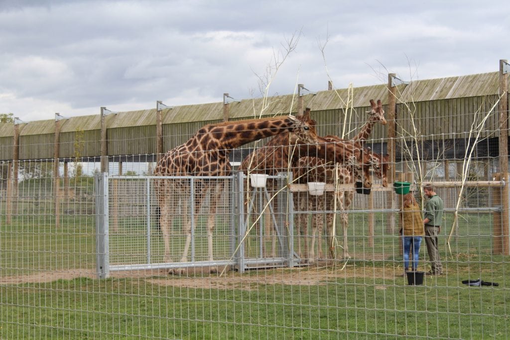 Yorkshire Wildlife park - Where To Go With Kids - South Yorkshire