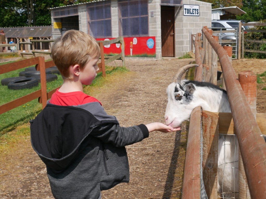 Boston Farm Park