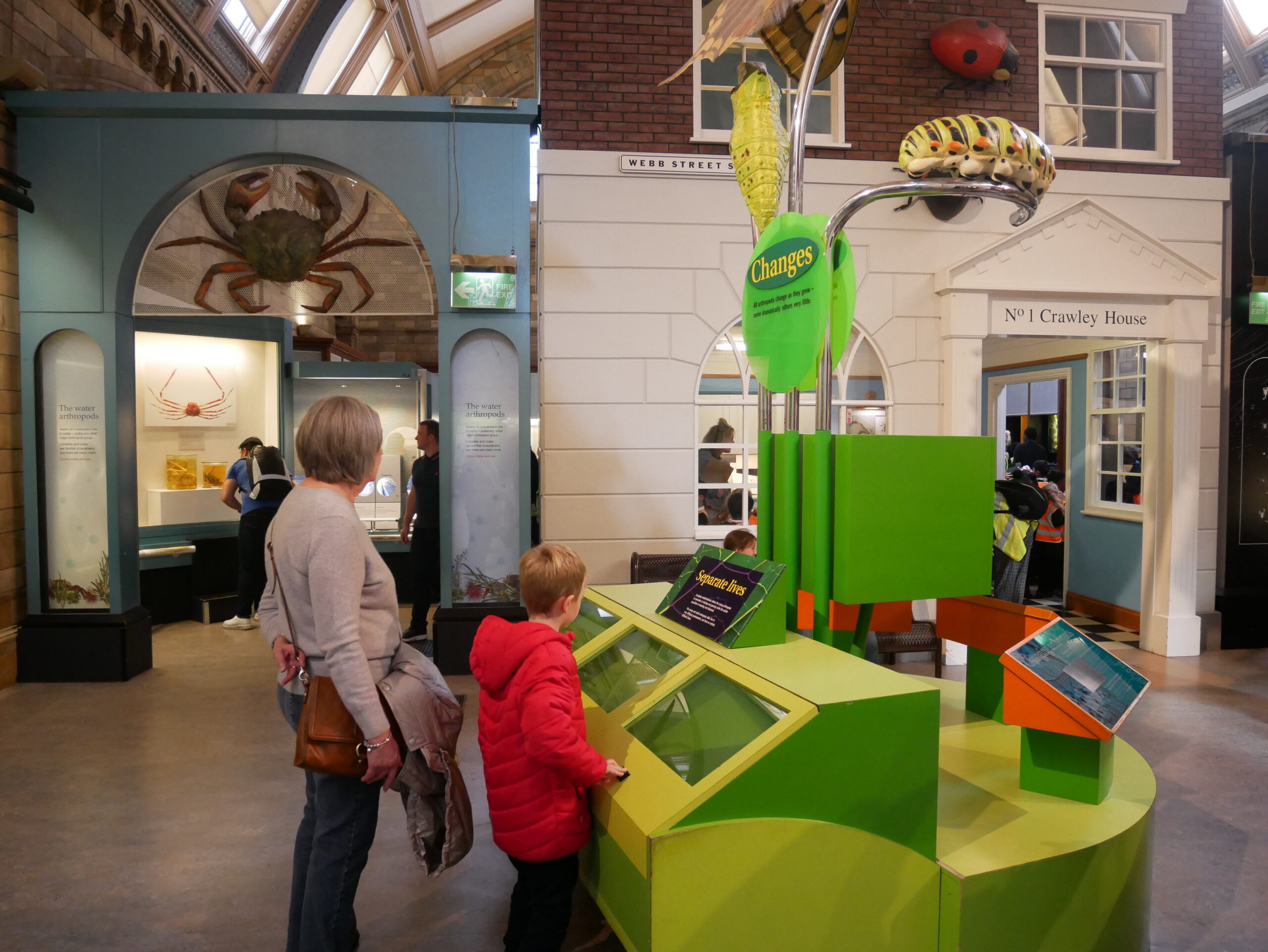 natural-history-museum-london-toddle-doddle