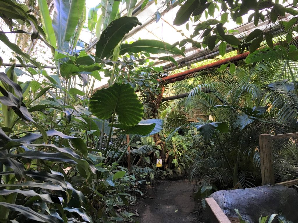 The Living Rainforest - Where To Go With Kids - Berkshire