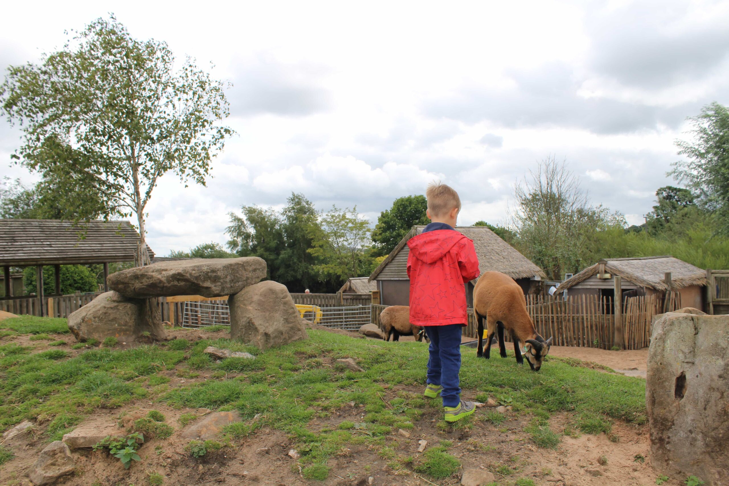 Peak Wildlife Park