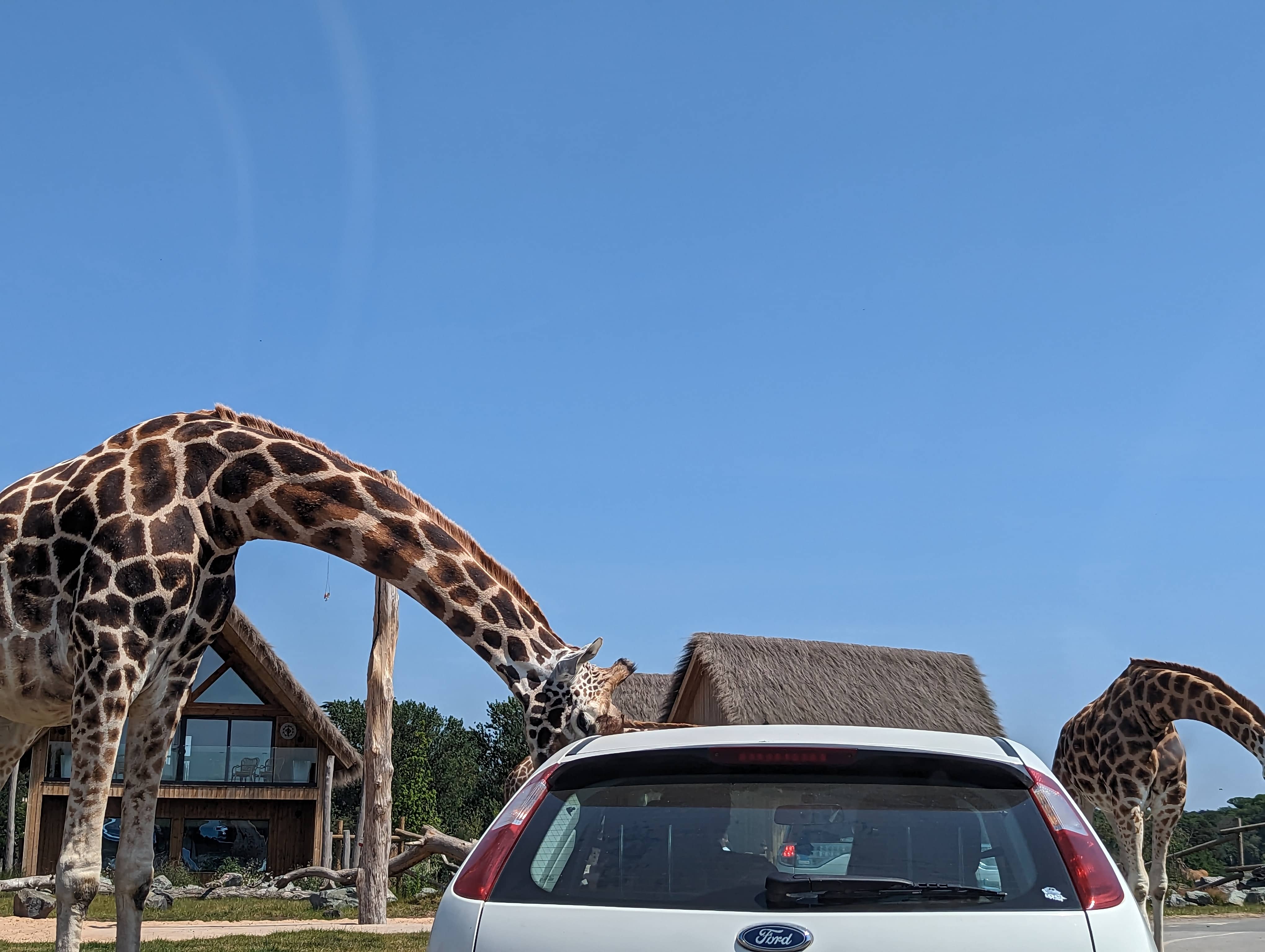 West Midland Safari Park