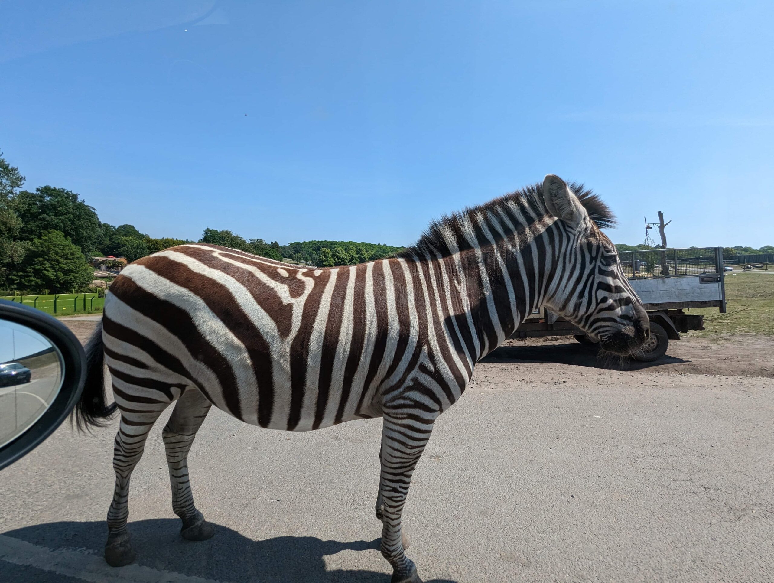 West Midland Safari Park