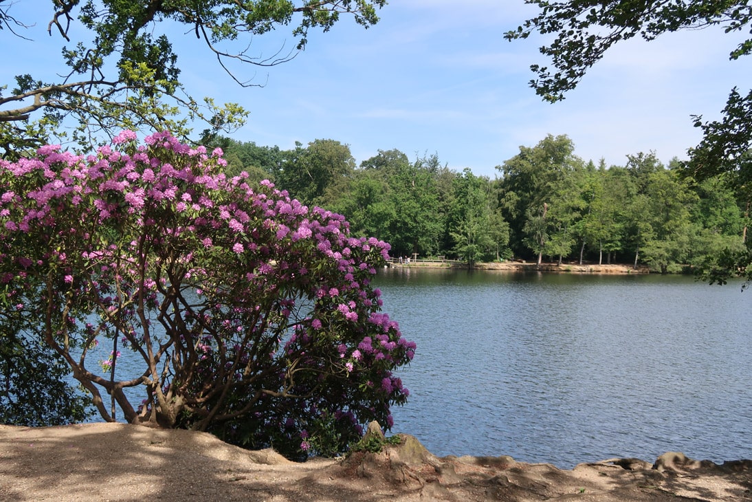 Black park