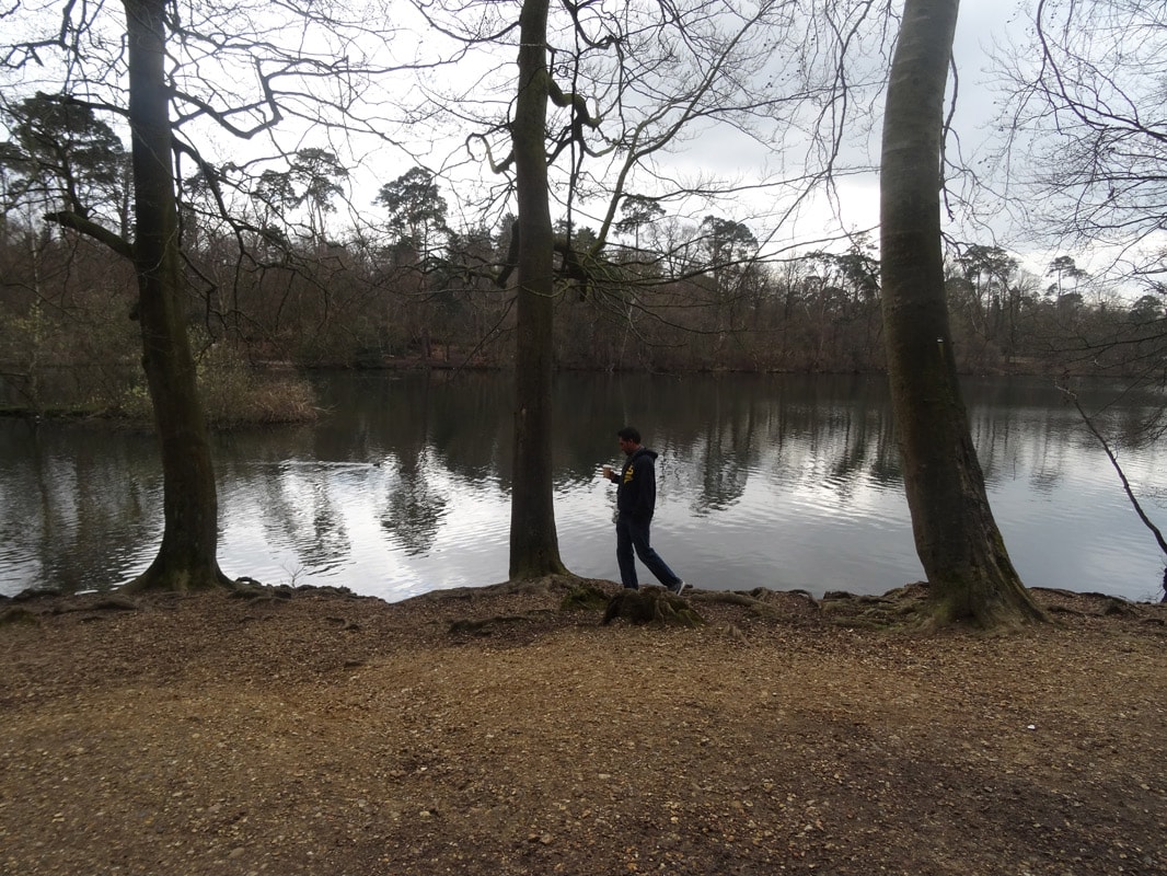 Black park