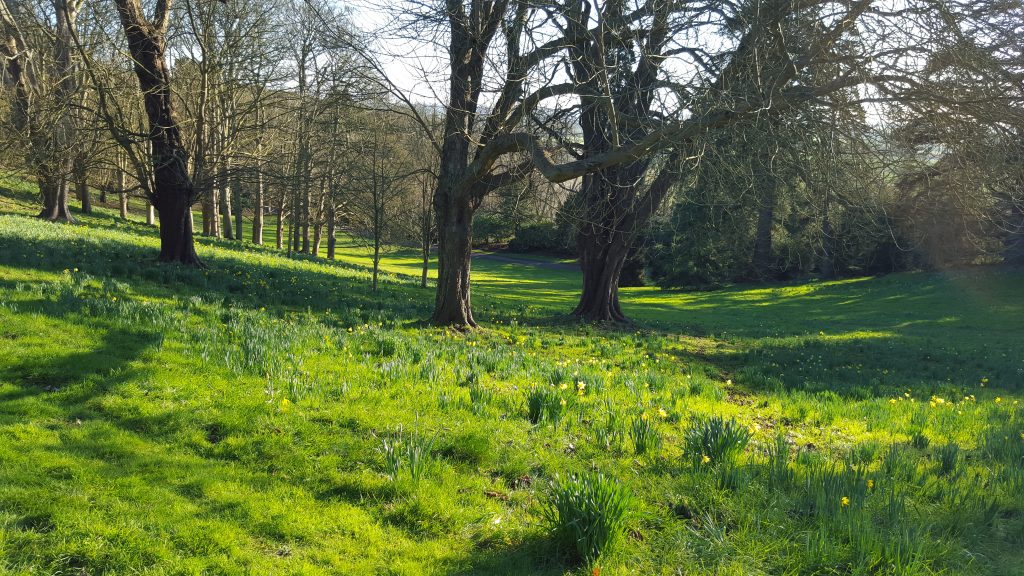 Waddesdon Manor