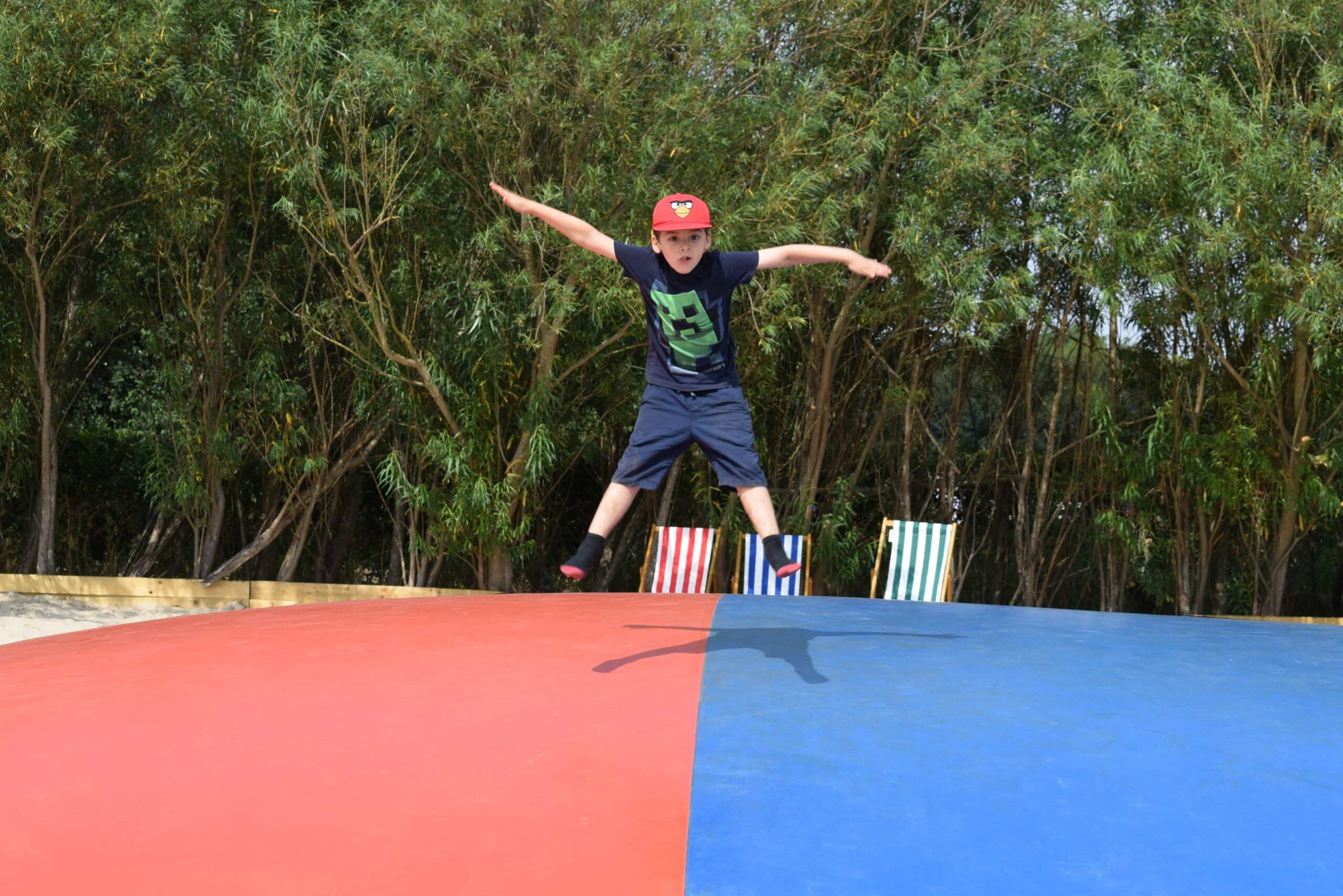 Skylark Maize Maze