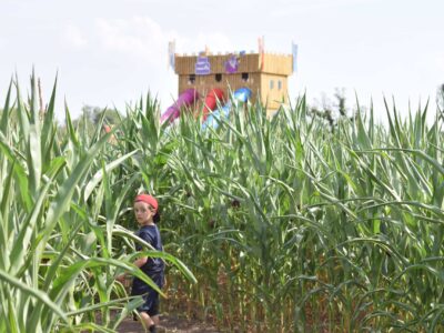 Skylark Maize Maze