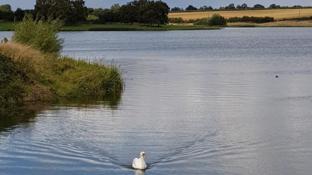 Sywell Country Park