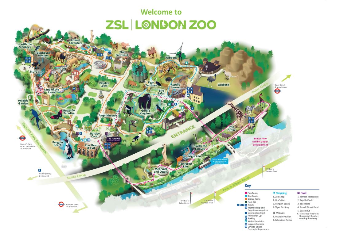 londonzoo 2