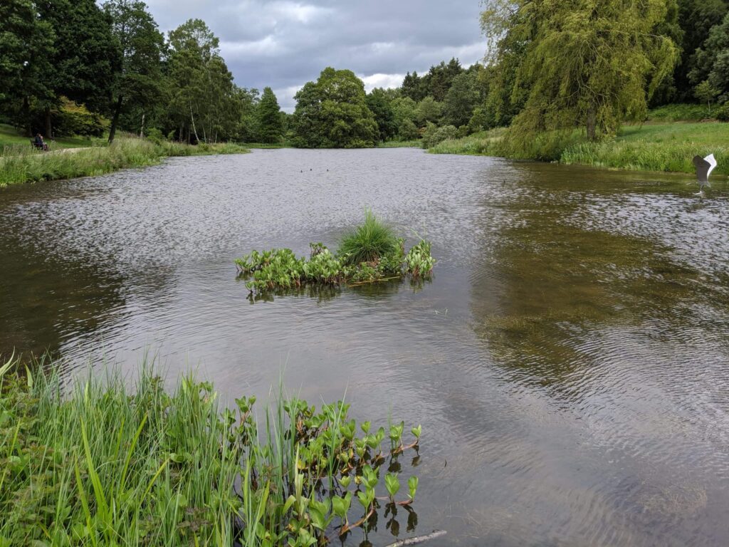 Yorkshire Arboretum lake