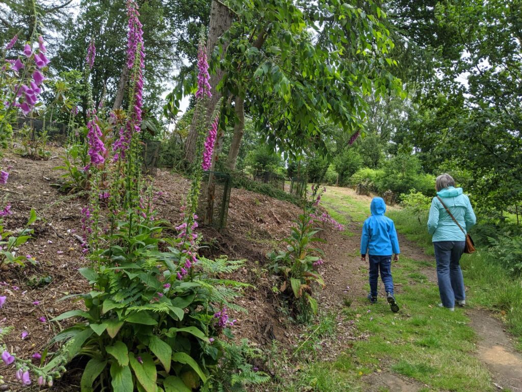 Yorkshire Arboretum Scenery