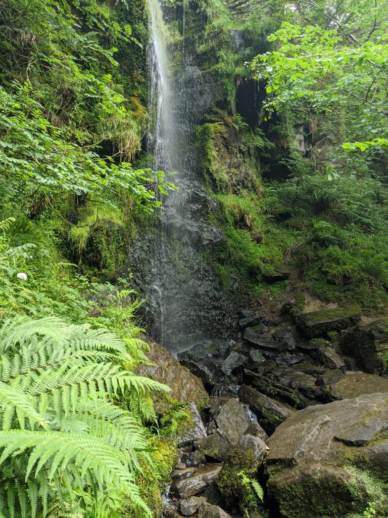 Mallyan Spout to Thomason Foss, Beck Hole Walk with Kids