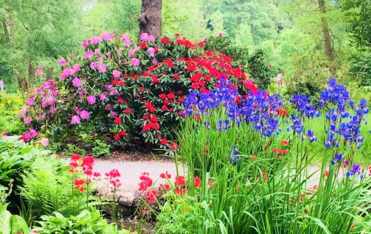 Bodnant Garden