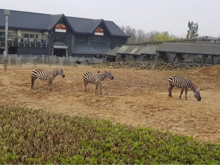 Colchester Zoo