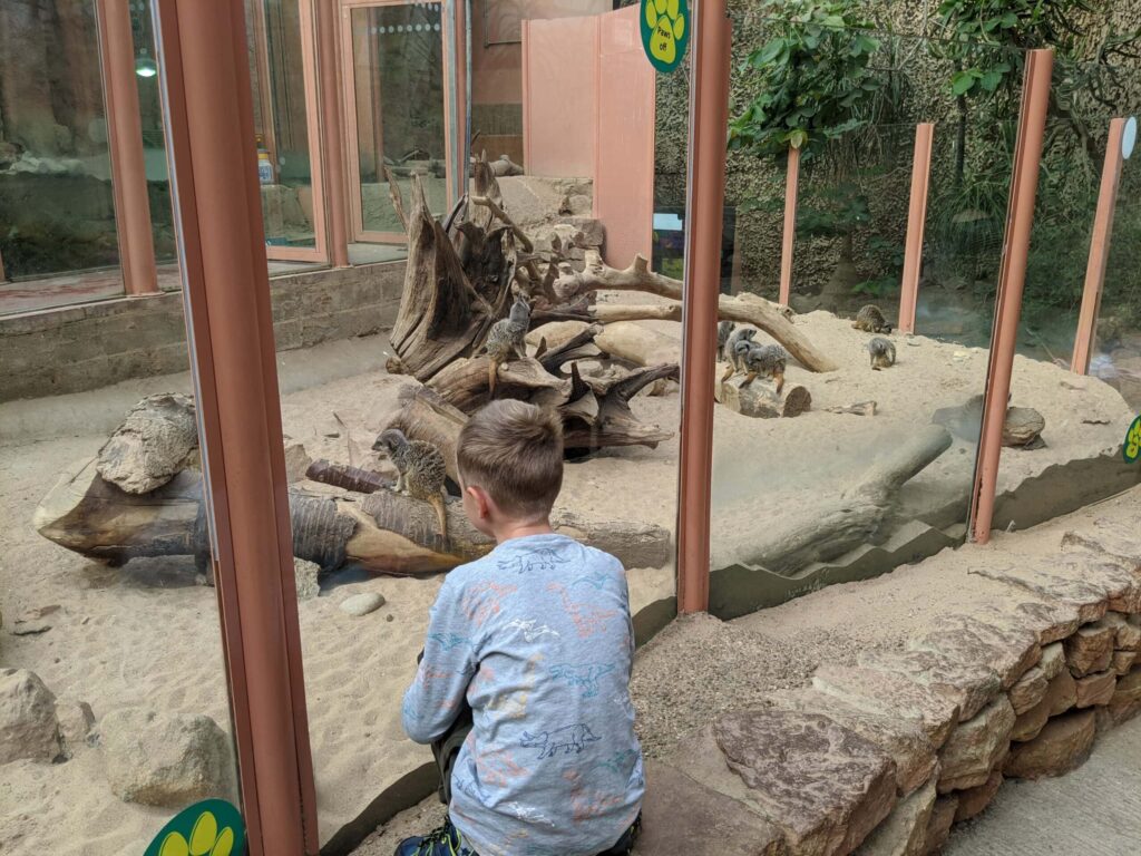 Tropical World