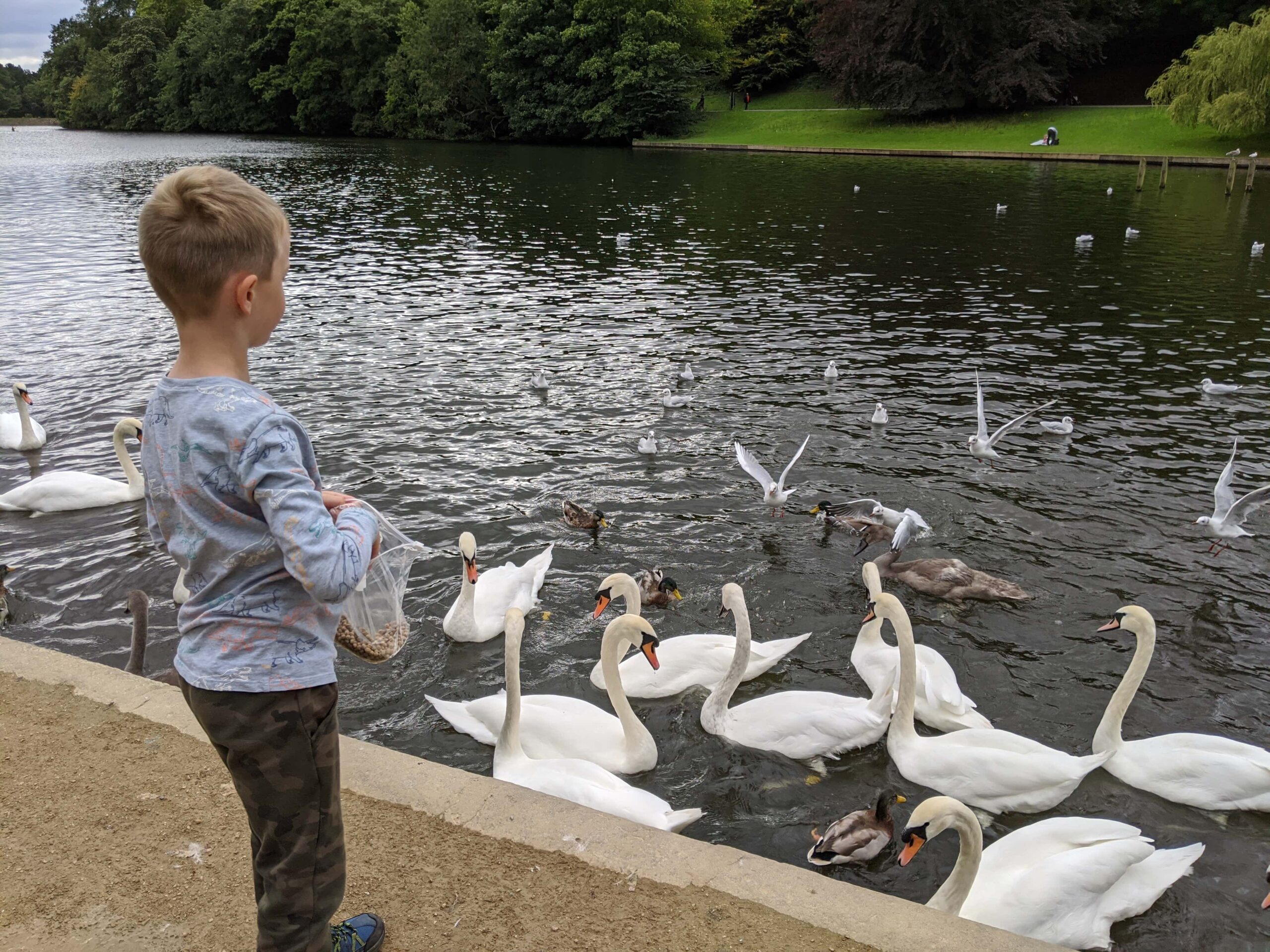 Roundhay Park lake