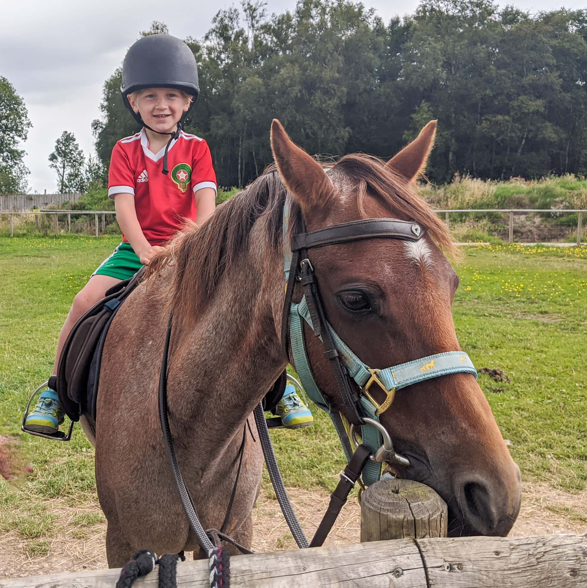 Matlock Farm Park