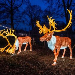 Best Christmas Events North West 2025 – Meet Santa and More