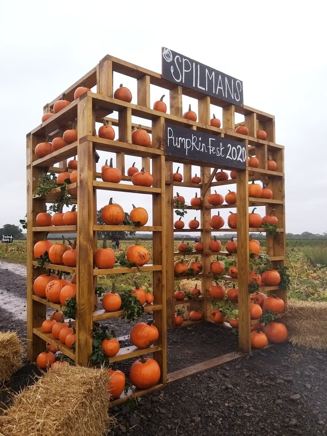 Spilman's Cafe and Pick Your Own Pumpkins