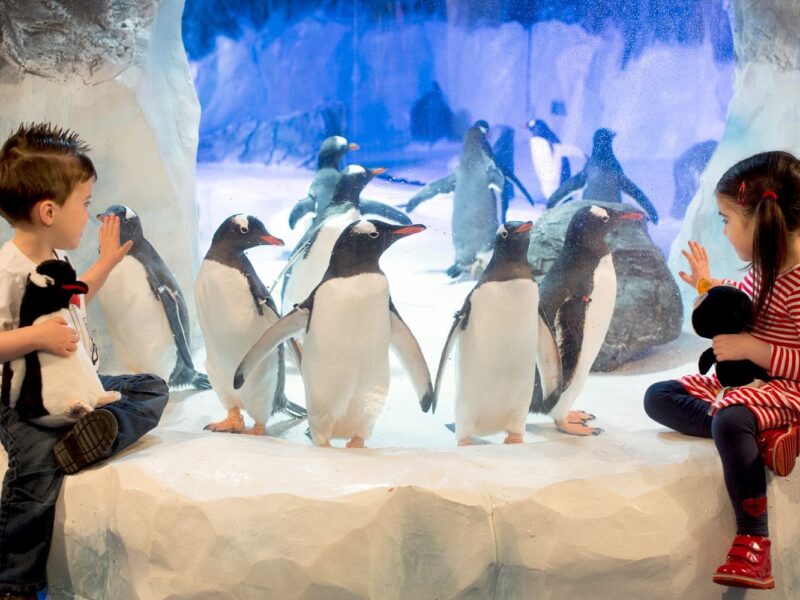 National SEA LIFE Centre Birmingham