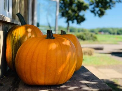 Cat and Fiddle Farm PYO