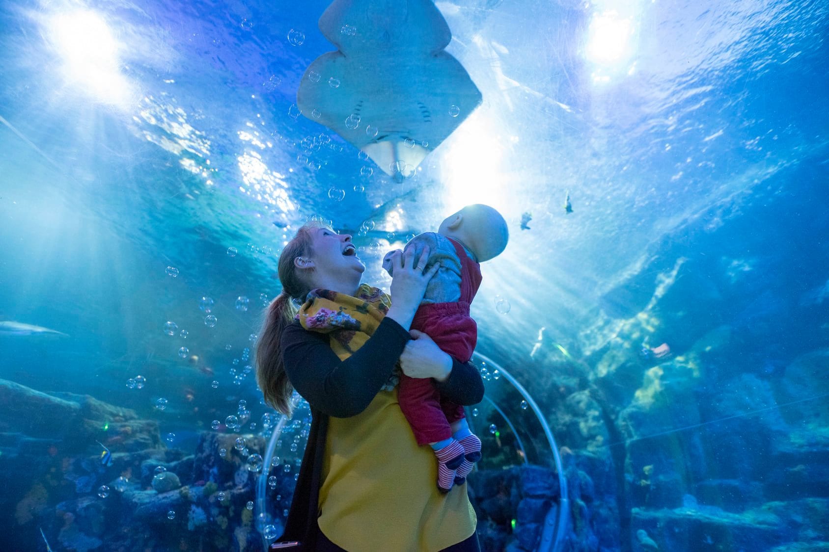 National Sea Life Centre Birmingham