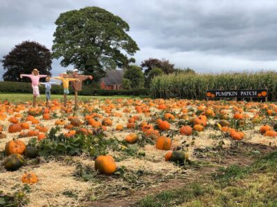 Wheelock Hall Farm