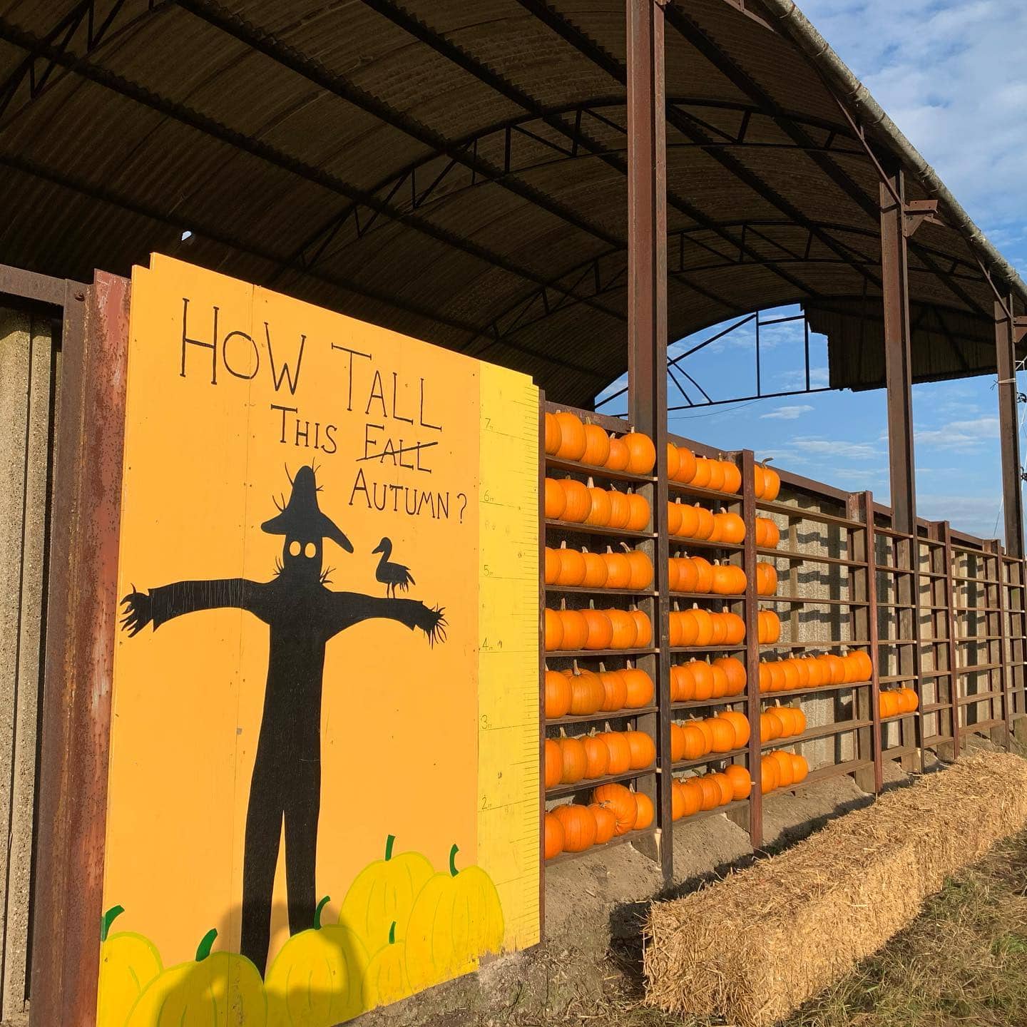 Cattows Farm