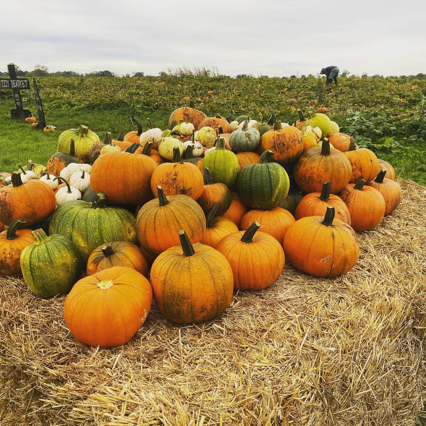 Wappenham Farm